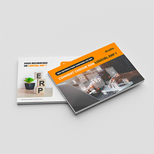 Livre blanc conseils et astuces choisir son logiciel ERP