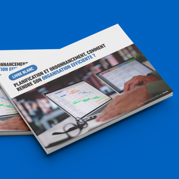 Vignette livre blanc ordonnancement et planification